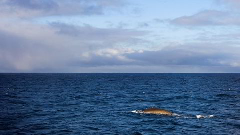 Ny forskning indikerer mye raskere forsuring av havet enn tidligere antatt. På bildet er en finnhval oppe og trekker frisk luft i Polhavet sydøst for Svalbard. Foto:  Håkon Mosvold Larsen /