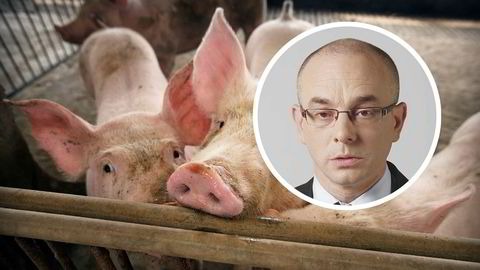 Sjeføkonom Paul DonovanIn i UBS er permittert etter en uheldig uttalelse om griser som oppfattes grovt krenkende av kinesere.