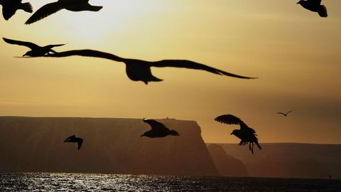 Scandics enerett til å kreve billettavgift på Nordkapp-platået er klaget inn til Esa. Scandic varsler at de vil betale mer i festeavgift for å kunne bruke Nordkapp-platået.