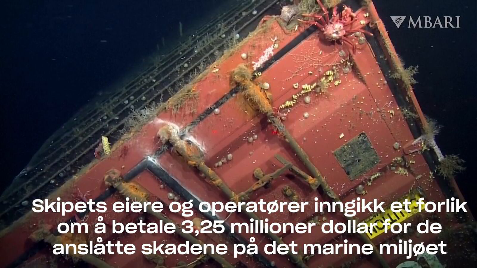 Tusenvis av containere havner på sjøbunnen: – Det største problemet