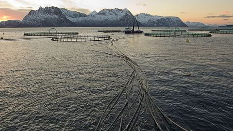 Sjømatselskapet Mowi må stenge to lokaliteter for oppdrettsfiske i Troms, etter at de fikk påvist en alvorlig laksesykdom. Bildet er fra Flakstadvåg i Senja.