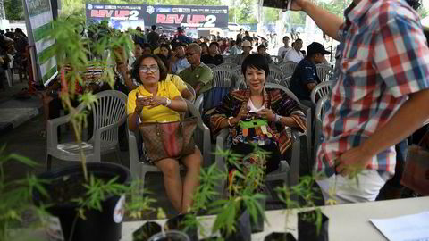 Den thailandske provinsen Buriram arrangerte den første marihuanafestivalen tidligere i år. Pasienter som benytter marihuana i forbindelse med sykdom kunne registrere seg i forbindelse med et nasjonalt amnesti.