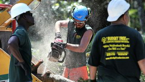 Arbeidere fjerner et tre som ble blåst ned av orkanen Irma i et nabolag i Maitland i Florida. Irma skapte sammen med orkanen Harvey store problemer i Florida og Louisiana i høst, og er ventet å slå kraftig ut på den månedlige sysselsettingsrapporten fra USA som blir publisert fredag.