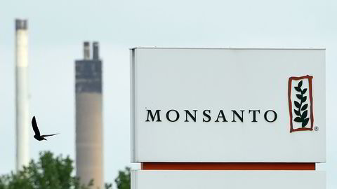 MULIG GIGANT. Bayer og Monsanto er til sammen et selskap som er verdens største i sin klasse. FOTO: FP PHOTO / JOHN THYS