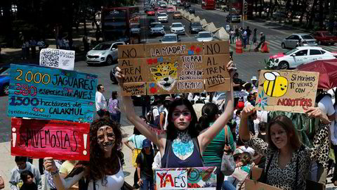Ungdom over hele verden har demonstrert for klimaet i år. Mange frykter konsekvensene av klimaendringene og utvikler angst. Bildet er fra en demonstrasjon i Mexico City i mai.