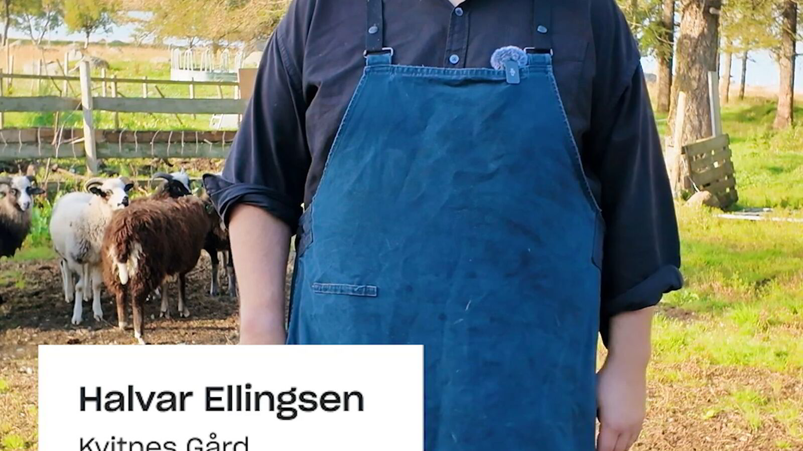 - Vi har klappet og kost alle dyrene som serveres i restauranten