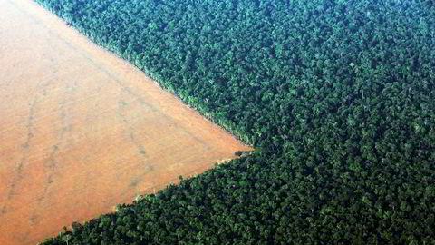 Vi er dypt bekymret for konsekvensene av den økte ulovlige avskogingen i Brasil, skriver Equinors Margareth Øvrum.