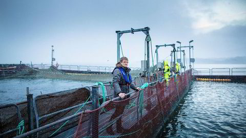 Inge Berg er gründer og eier av havbrukskonsernet Nordlaks. Datterselskapet Nordlaks Smolt fikk i starten av oktober besøk av Arbeidstilsynet som har gitt selskapet varsel om fem pålegg.