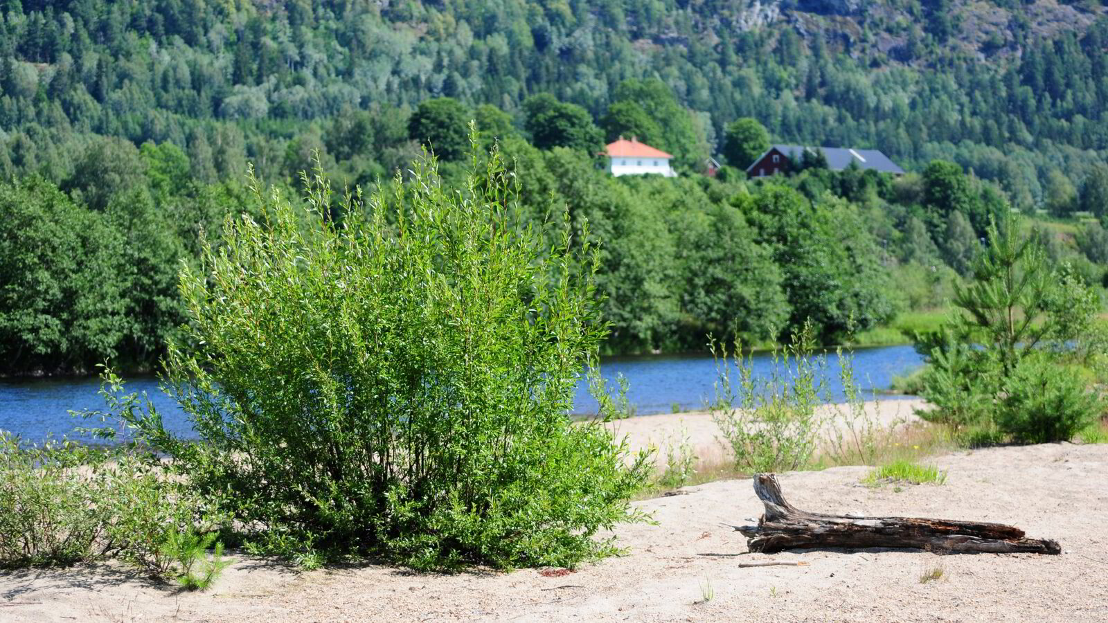 Flom er naturlig og nødvendig for naturen