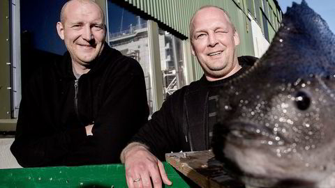 Rune Vatland (til venstre) og Andreas Lindhom i Norsk Oppdrettsservice i Flekkefjord økte ifjor inntektene med over 63 prosent takket være lakselus­spisende rognkjeks. Foto: Tomm W. Christiansen