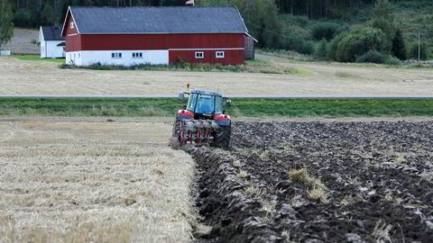 Illustrasjonsbilde: Forhandlingene om jordbruksoppgjøret er på overtid.