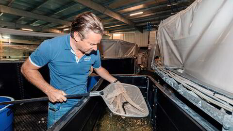 Johan E. Andreassen grunnla sammen med sin tremenning Bjørn-Vegard Løvik Atlantic Sapphire. Før helgen solgte de alle sine aksjer i selskapet.