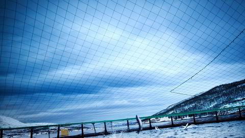 Norsk fiskeoppdrett er mest attraktivt for utenlandske selskaper på frierferd. Foto: Linda Næsfeldt