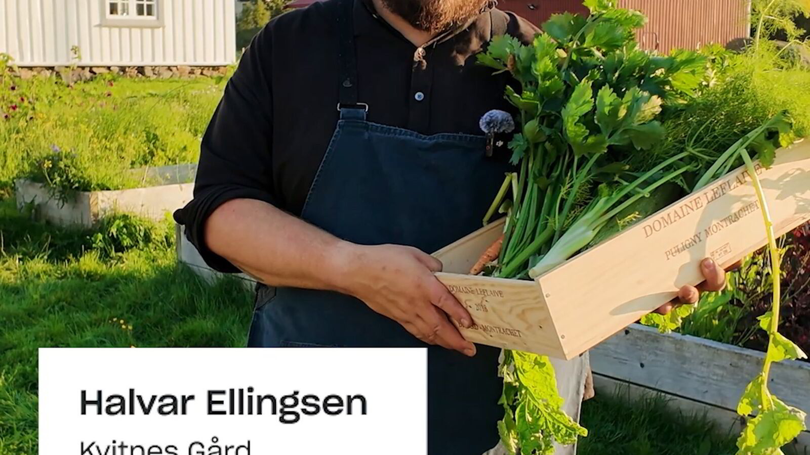 - Her på Kvitnes Gård er vi selvforsynt med grønnsaker