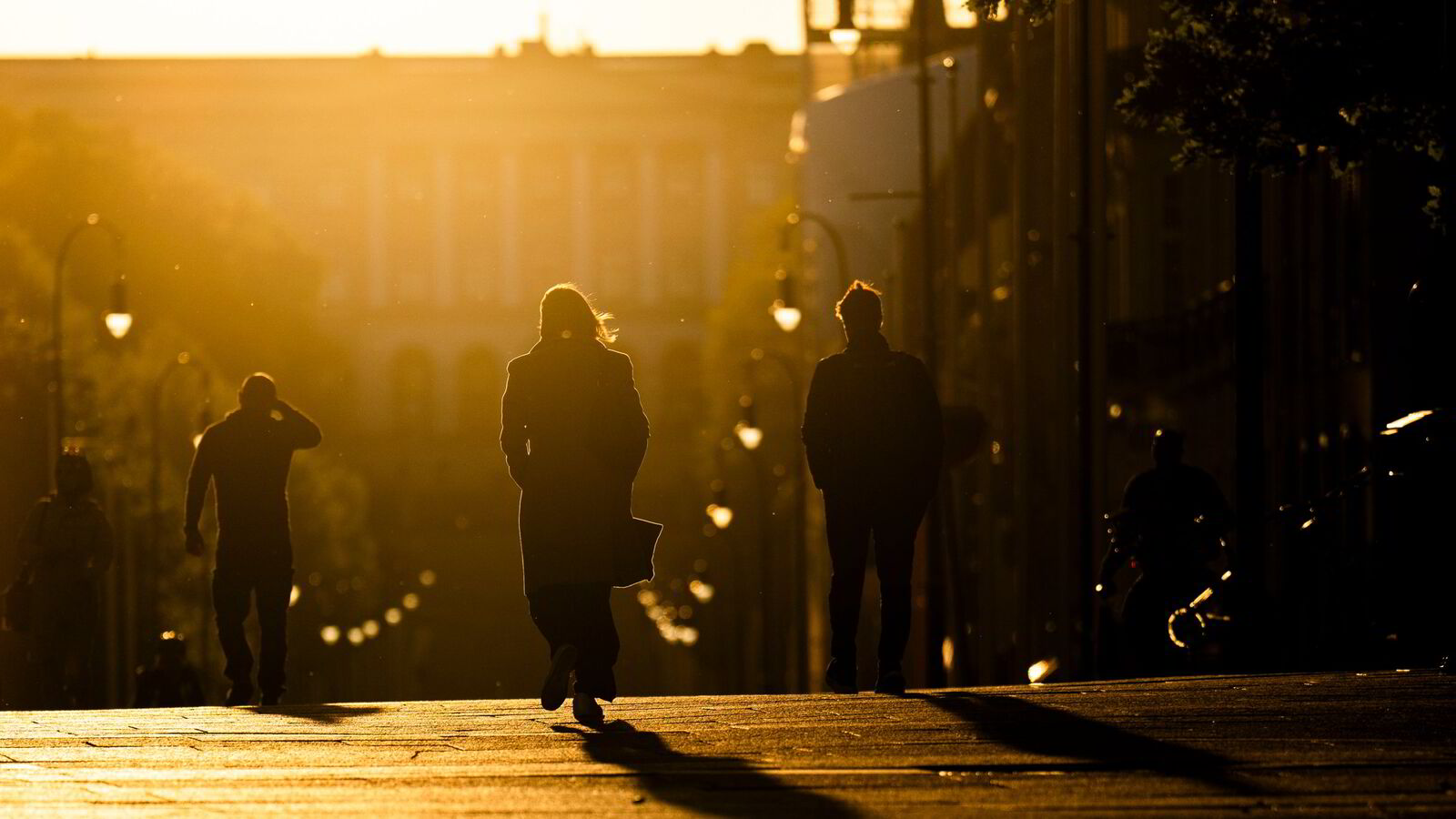 Synlighetsfellen i sykefraværsdebatten