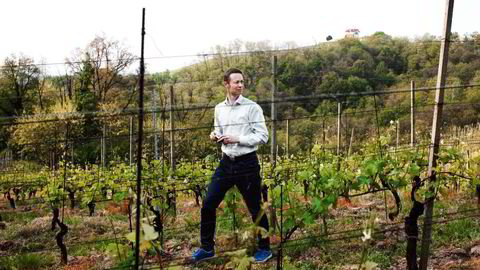 Christopher Moestue i Nervis vinmarker. Foto: Sune Eriksen