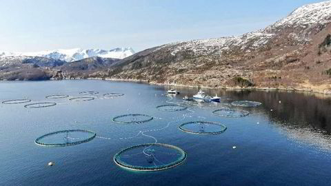 Mowi er Norges og verdens største lakseprodusent. Her fra anlegget Mulnesodden i Gildeskål kommune i Nordland.