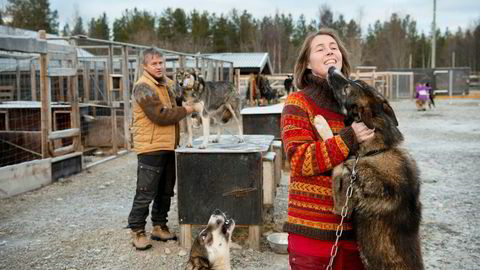 Kokk Johnny Trasti og hundekjører Trine Lyrek i hundegården med Neos og Vans, to av 79 alaskahusky hunder i selskapet Trasti &amp; Trine utenfor Alta i Finnmark. I bakgrunnen hilser datteren Hanne Lyrek på en av hundene.