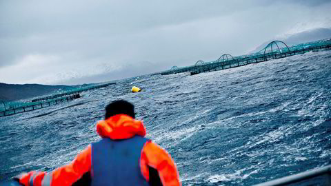 Europakommisjonen har mistanke om prissamarbeid mellom flere av de norske lakseoppdrettskonsernene. Bildet er fra Korsfjorden, som er en del av Altafjorden.