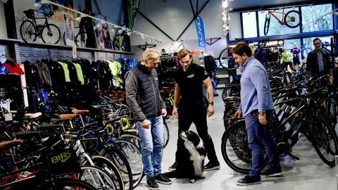 Fra venstre: Kai Nordgård, Kim Nordgård og Martin Nordgård Vermundsberget i Birk Sport avvikler to butikker. Hunden Birk i midten. Foto: Fartein Rudjord