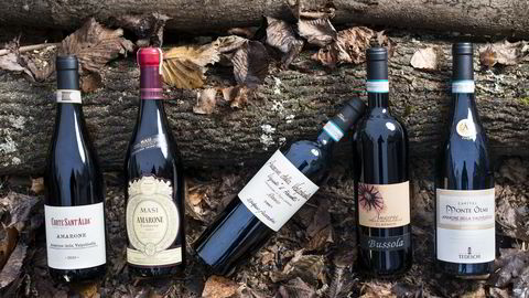DYRE. I havet av Amarone-viner finnes også de som forsvarer hundrelappene. Solide produsenter er Corte Sant’ Alda, Masi, Accordini, Bussola og Tedeschi. Foto: Skjalg Bøhmer Vold