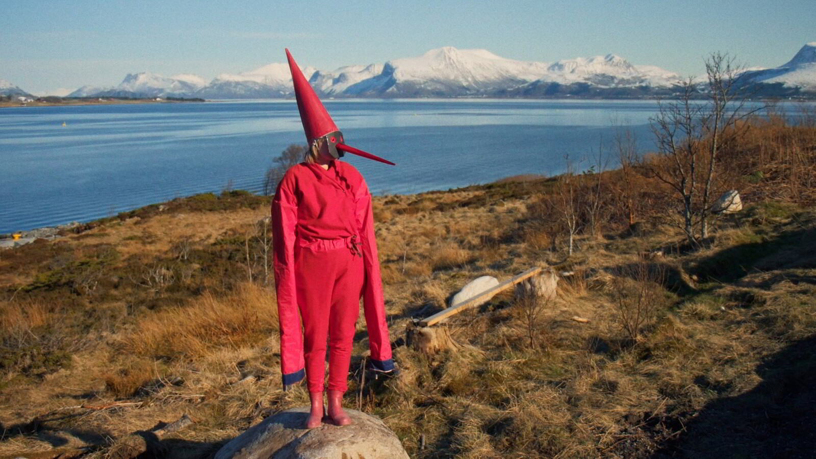 Det grønne skiftets forbannelser