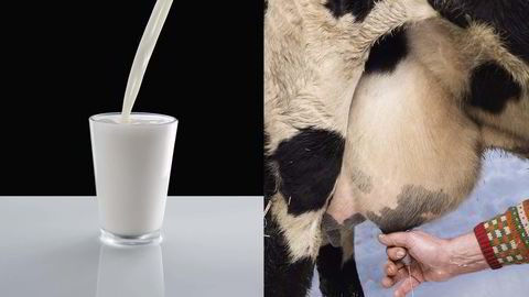 SPENVILT. Stadig flere ønsker å kjøpe rå, ubehandlet melk 
                  rett fra kua