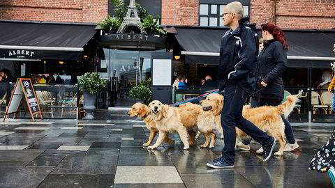 Albert Bistro ligger midt i leia på Aker Brygge og serverer mat gjennom hele dagen.