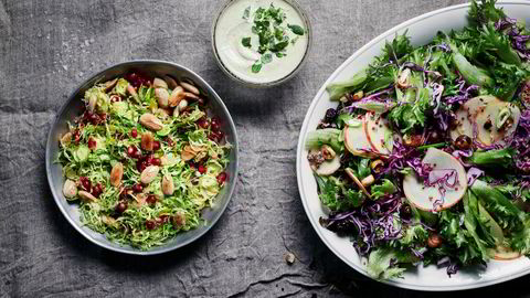Råkost. To gode salater å starte et nytt år med: rosenkålsalat med pannestekte mandler og granateple. Til høyre: Rødkålsalat med granateple og cashewdressing. Smak til med deilig, kremet cashewdressing