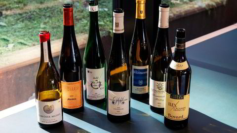 Et knippe av de beste vinene fra Tyskland-slippet, med et spesielt søkelys på årgang 2022.
