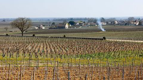 Fra landsbyen Puligny-Montrachet kommer det stadig mindre vin på det åpne markedet.
