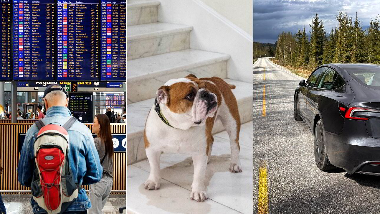 Disse forsikringene har steget mest i pris: – Grunn til bekymring