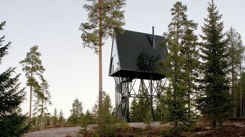 Pan. Fra midten av 1600-tallet slo finner seg ned i de enorme skogsområdene nær dagens svenskegrense, nå kalt Finnskogen. En sentral gud i skogfinsk mytologi var Tapio, finnenes versjon av skogguden Pan.