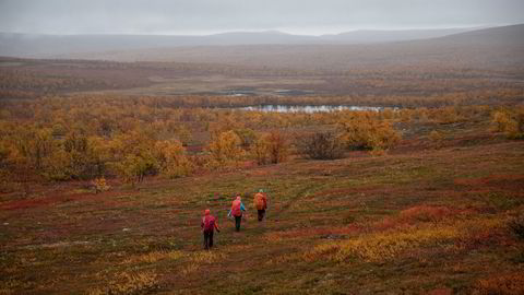 Hanna Lee ved NTNU, Maryam Kazemi ved NTNU og Inge Althuizen ved Norce er på vei til en multemyr ved foten av fjellet Iškoras på Finnmarksvidda. Her kan forskerne studere i sanntid hva som vil skje når et av verdens største karbonlagre begynner å lekke.