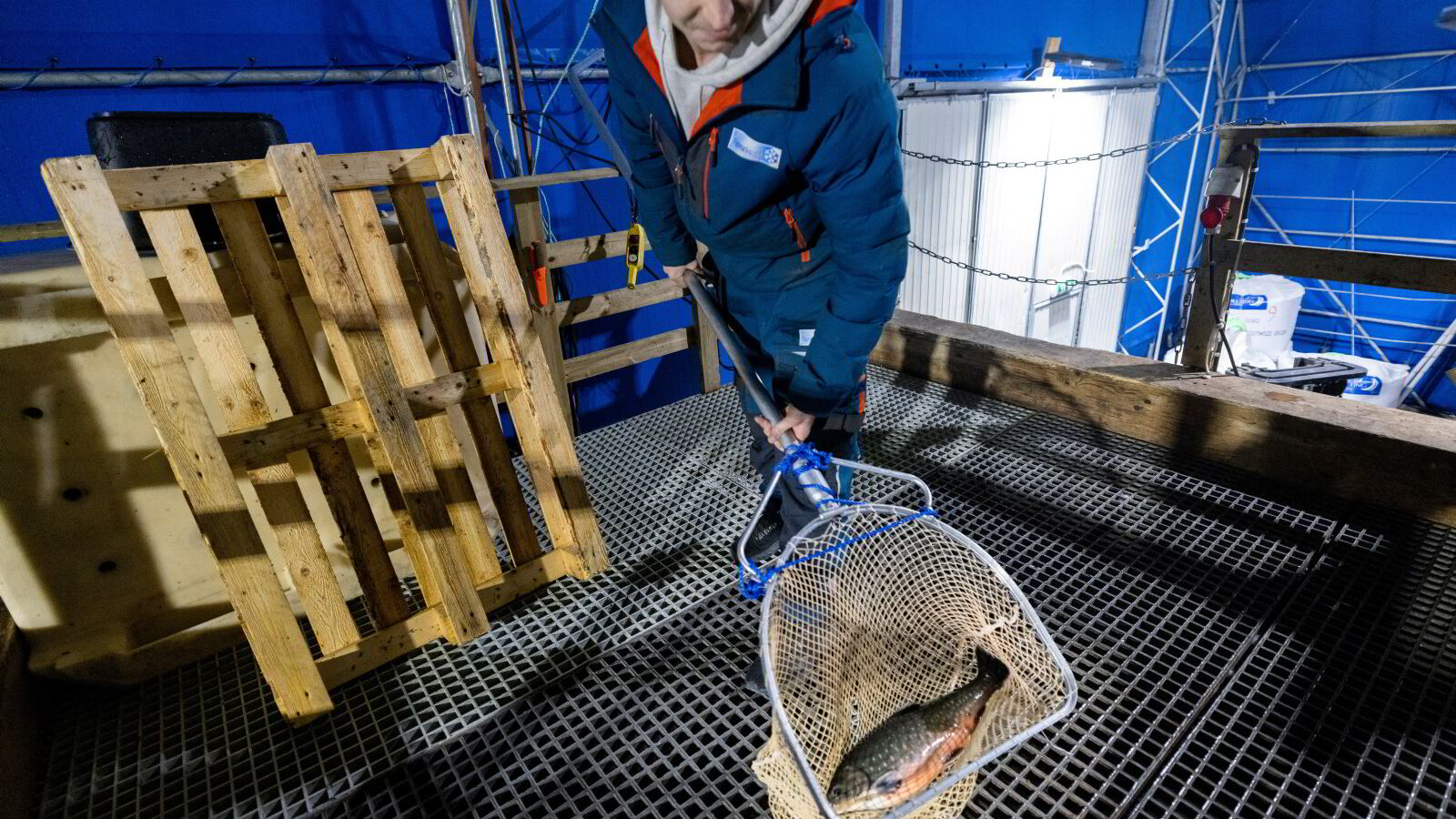 Gjennombrudd etter snuoperasjon: – Dette er slowfood