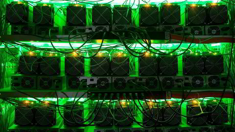 Bitcoin-koder under juletreet kan bli resultatet for flere når giganter som Visa og Paypal går inn i kryptovaluta.