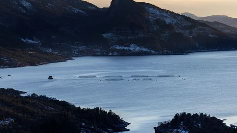 Oppdrettsmerder i Ullensvang kommune i Hardanger.