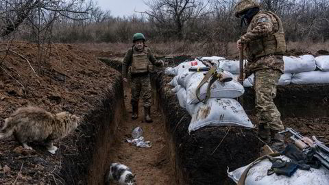 Ukrainske soldater i skyttergravene forbereder seg på russisk invasjon og krig. Her ved fronten i Zolote i Ukraina.