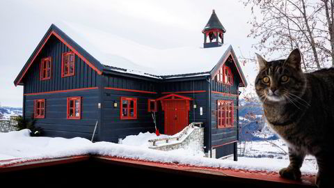 Geir Braathe og familien leier ut to av de tre hyttene på tunet på Hafjell. Til sammen har de hatt over tusen gjester.