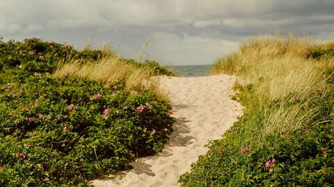 Idyll. Tisvildeleje strand byr på hvite sanddyner, badehus i pasteller og en kraftig vind.