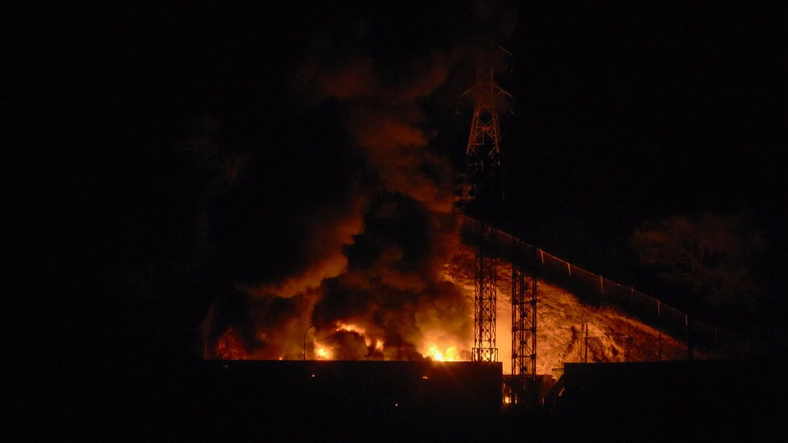 Spiselig TACO eller giftig sort svane