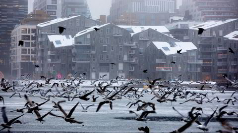 Bjørvika fra sjøsiden i Oslo.
