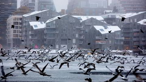 Bjørvika fra sjøsiden i Oslo.