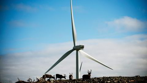 Så langt er det kun i Nord-Norge det er interesse for å bygge mer vindkraft, ifølge NVE. Her fra en vindpark eid av Troms Kraft på Vannøya i Karlsøy kommune.