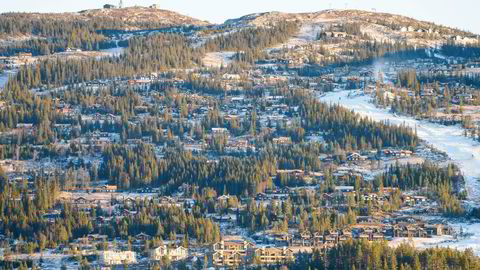 Nesfjellet Alpin i Nesbyen er blant de populære destinasjonene i Nesbyen kommune. I 2020 ble kommunen kåret til «årets hyttekommune» av Norsk Hyttelag.
