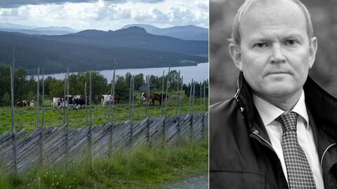 Erlend Follegg-selskapet Gondolin as som nå er konkurs, selger blant annet fritidseiendommer i Gålå i Gudbrandsdalen.