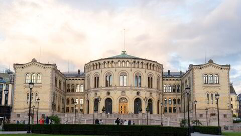 Vi må gjøre andelen ansatte i offentlig sektor mindre enn den er i dag, ifølge Nina Riibe.