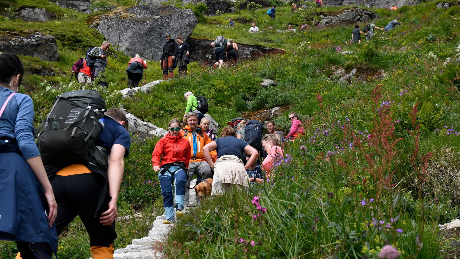 Lover å reversere turistskatten: – Bommer på målet