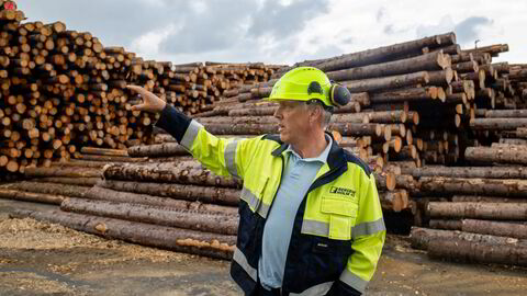 Erland Løkken i trefordedlingskonsernet Bergene Holm sier de rekordhøye tømmerprisene skaper store utfordringer for treindustrien.