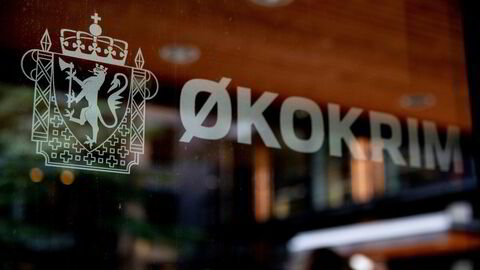 Kronikkforfatterne etterlyser flere spesialetterforskere med økonomiutdannelse.